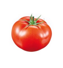 TOMATE GORDO RASTRERO PACK 12 PLANTONES