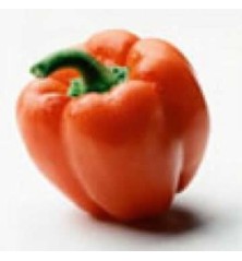 PIMIENTO ROJO PRODUCTO NATURAL 6 PLANTONES