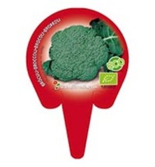 BROCOLI PRODUCTO NATURAL BANDEJA 12 PLANTONES