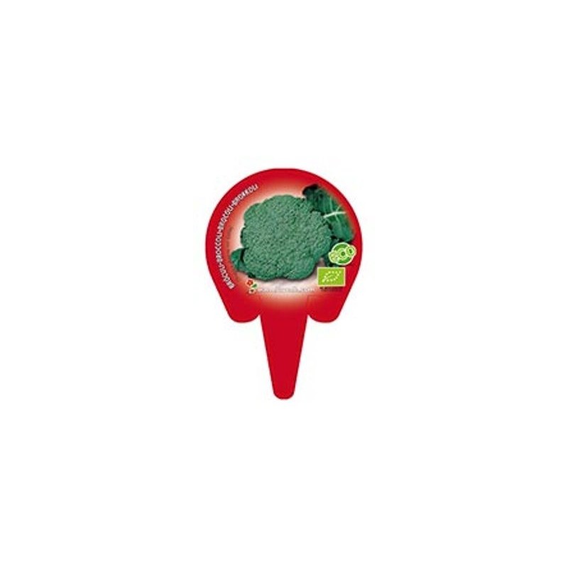 BROCOLI PRODUCTO NATURAL BANDEJA 12 PLANTONES