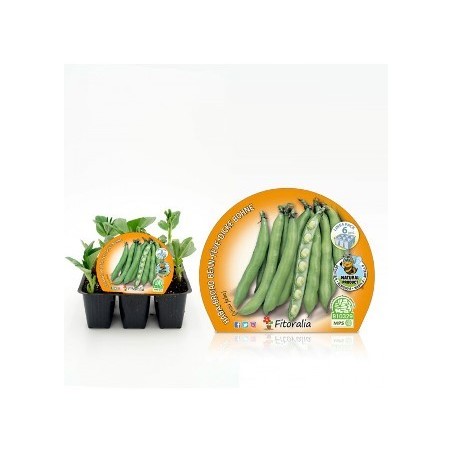 HABA PRODUCTO NATURAL BANDEJA 6 PLANTONES