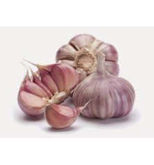 CABEZA DE AJO DE SIEMBRA GRANEL 1UD