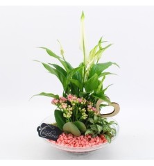 COMPOSICION PLANTAS 30CM