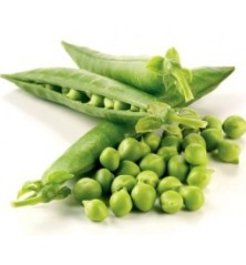 GUISANTE MATA BAJA PRODUCTO NATURAL BANDEJA 6 PLAN