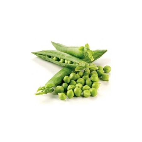 GUISANTE MATA BAJA PRODUCTO NATURAL BANDEJA 6 PLAN