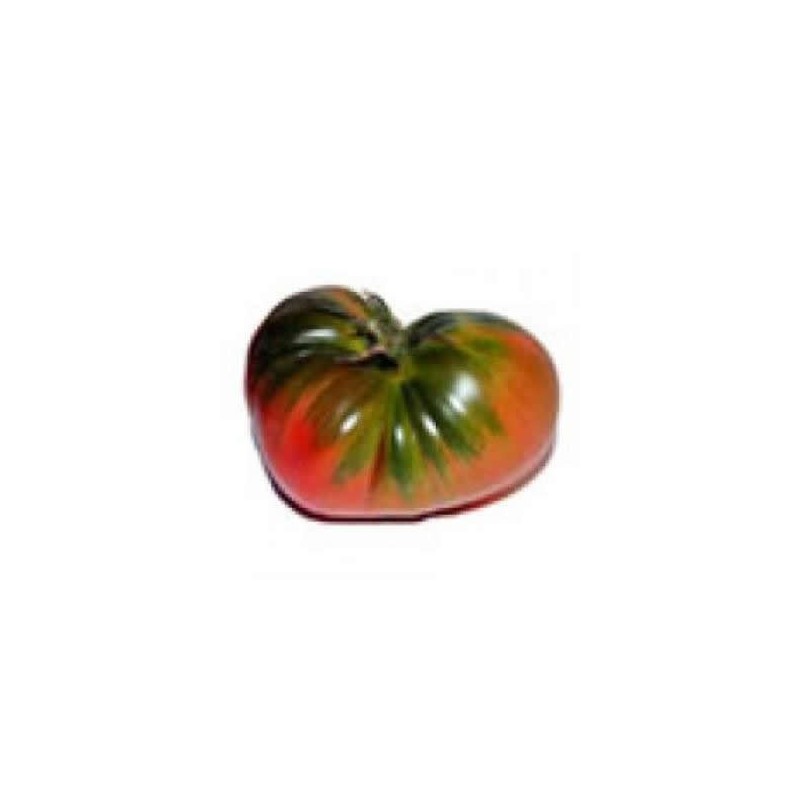 TOMATE RAF PRODUCTO NATURAL MACETA 10,5CM