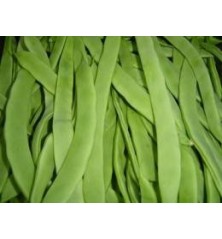 JUDIA MATA ALTA PRODUCTO NATUR BANDEJA 6 PLANTONES