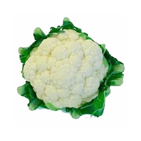COLIFLOR BLANCA PRODUCTO  NATURAL PACK 6 PLANTONES
