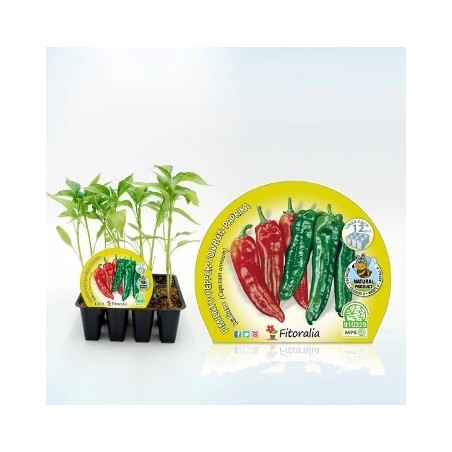 PIMIENTO ITALIANO PRODUCTO NATURAL B12 PLANTONES
