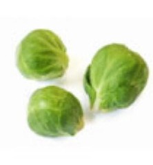 COL DE BRUSELAS ECOLOGICA BANDEJA 6 PLANTONES