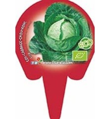 COL REDONDA LISA ECOLOGICO BANDEJA 6 PLANTONES