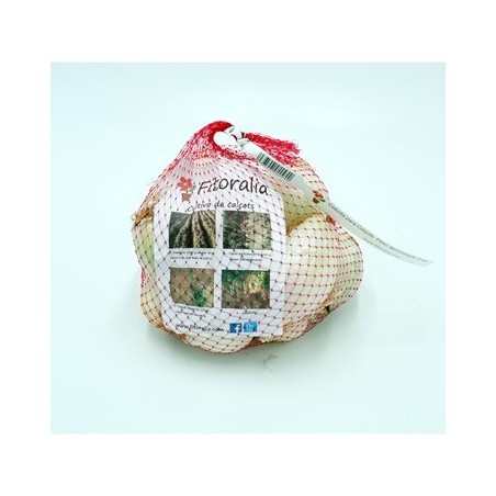 CEBOLLA CALÇOTS MALLA 2KG APROX.