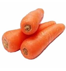 ZANAHORIA PACK 12 PLANTONES