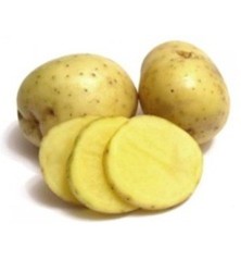 PATATAS DE SIEMBRA MONALISA 1KG