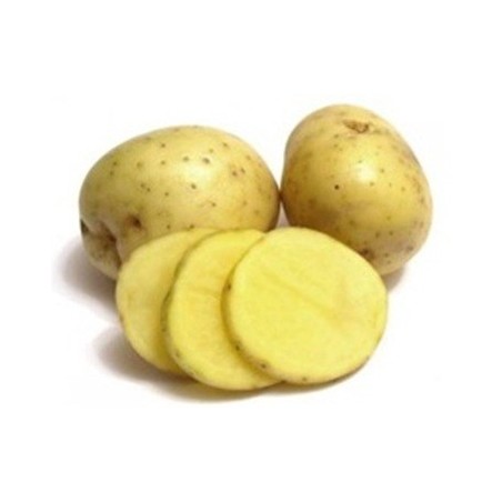 PATATAS DE SIEMBRA MONALISA 1KG
