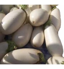 BERENJENA BLANCA LARGA PACK 6 PLANTONES