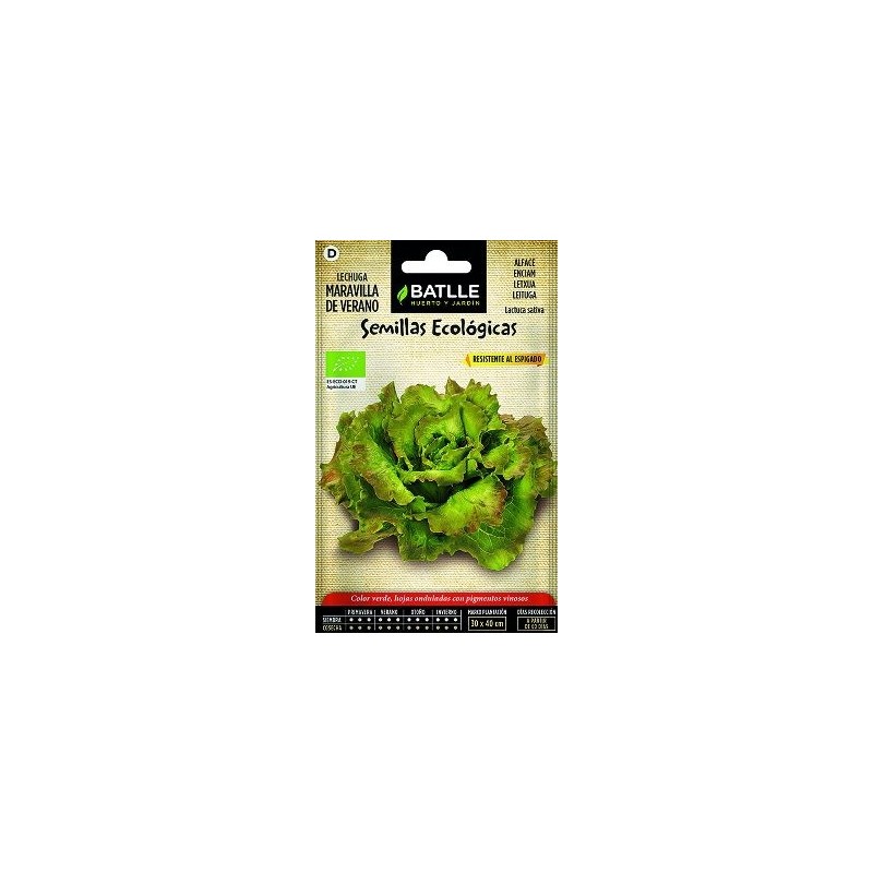 SEMILLAS ECOLOGICAS LECHUGA MARAVILLA DE VERANO 1G