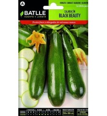 SEMILLAS CALABACIN BLACK BEAUTY 10GR