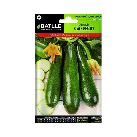 SEMILLAS CALABACIN BLACK BEAUTY 10GR