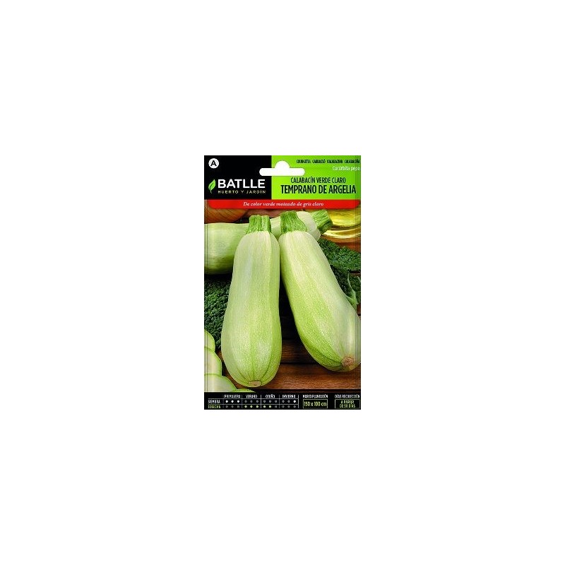 SEMILLAS CALABACIN TEMPRANO DE ARGELIA 10GR