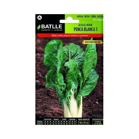 SEMILLAS ACELGA PENCA BLANCA 10GR