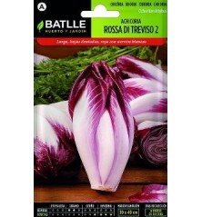 SEMILLAS ACHICORIA ROSA TREVISO 8GR