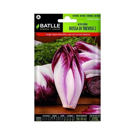 SEMILLAS ACHICORIA ROSA TREVISO 8GR