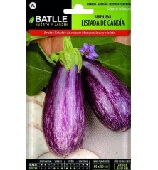 SEMILLAS BERENJENA LISTADA GANDIA 2GR