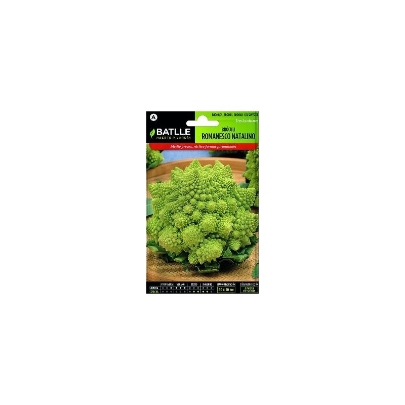 SEMILLAS BROCOLI ROMANESCO 8GR