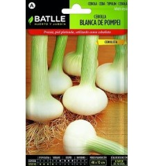 SEMILLAS CEBOLLA TEMPRANA POMPEI 4GR