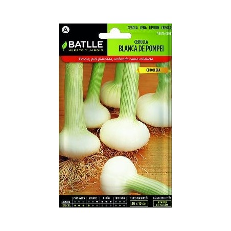 SEMILLAS CEBOLLA TEMPRANA POMPEI 4GR