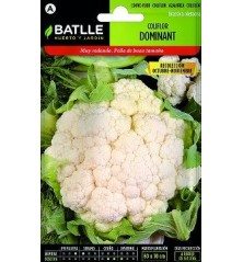 SEMILLAS COLIFLOR DOMINANT BLANQUITA 3GR