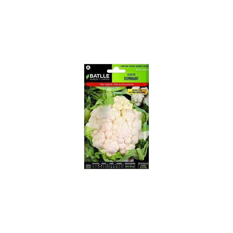 SEMILLAS COLIFLOR DOMINANT BLANQUITA 3GR