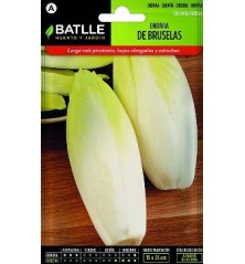 SEMILLAS ENDIVIA BRUSELAS 10GR