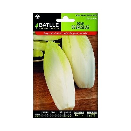 SEMILLAS ENDIVIA BRUSELAS 10GR