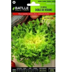 SEMILLAS ESCAROLA DOBLE VERANO 10GR