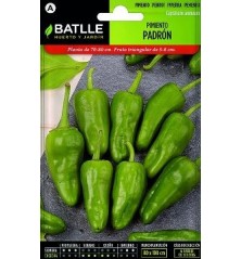 SEMILLAS PIMIENTO PADRON 2GR