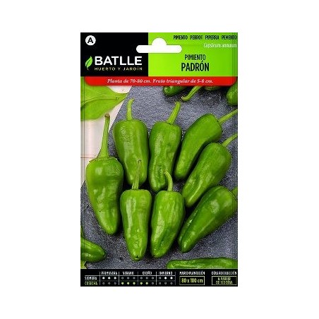 SEMILLAS PIMIENTO PADRON 2GR