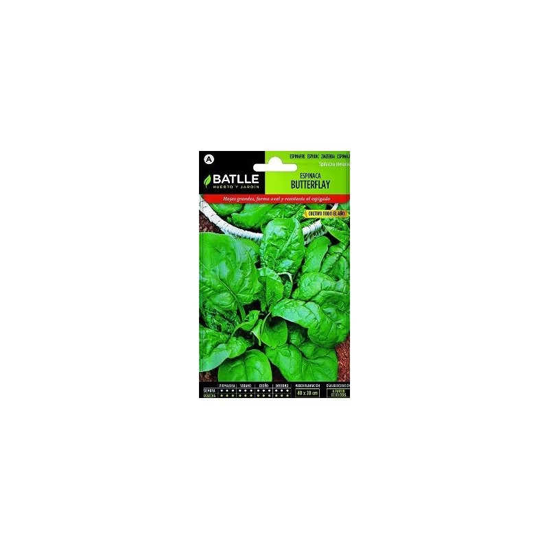 SEMILLAS ESPINACA BUTTERFLAY 15GR