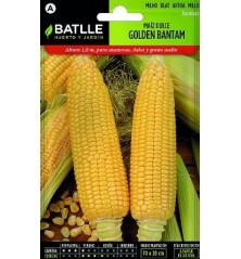 SEMILLAS MAIZ DULCE GOLDEN 12GR