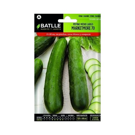 SEMILLAS PEPINO MARKETMORE 6GR