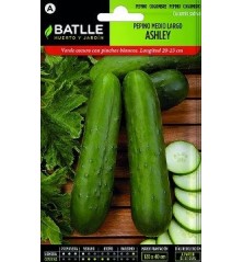SEMILLAS PEPINO ASHLEY 6GR