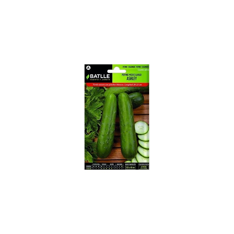 SEMILLAS PEPINO ASHLEY 6GR