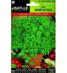 SEMILLAS PEREJIL GIGANTE/HOJA LISA 2 12GR