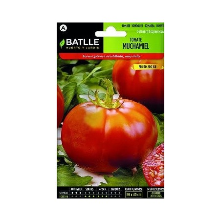 SEMILLAS TOMATE MUCHAMIEL 2GR