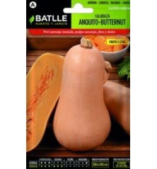 SEMILLAS CALABAZA ANQUITO 6GR