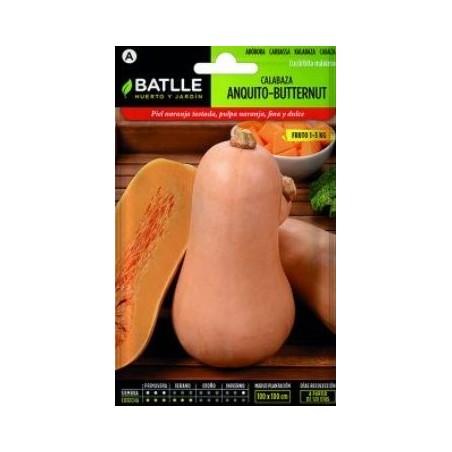 SEMILLAS CALABAZA ANQUITO 6GR