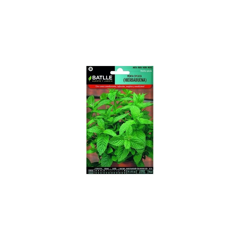SEMILLAS MENTA SPICATA HIERBABUENA 0,2GR