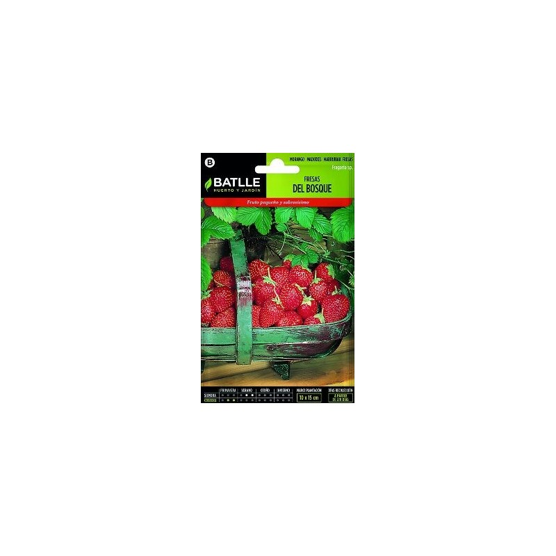 SEMILLAS FRESAS DE BOSQUE 0,4GR