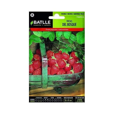 SEMILLAS FRESAS DE BOSQUE 0,4GR
